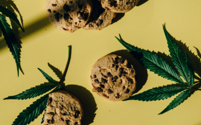Edibles vs. Flower: What is Best for You?